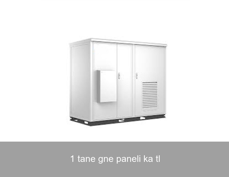 1 tane gne paneli ka tl