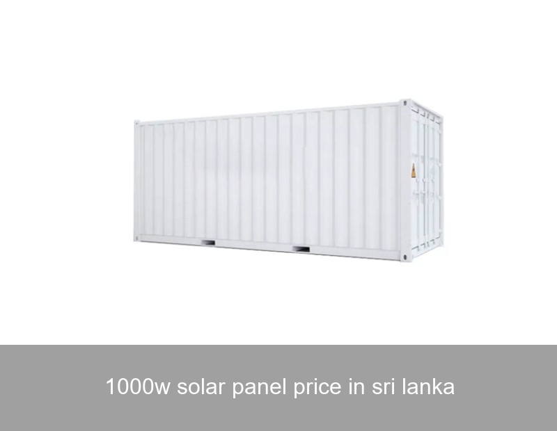 1000w solar panel price in sri lanka