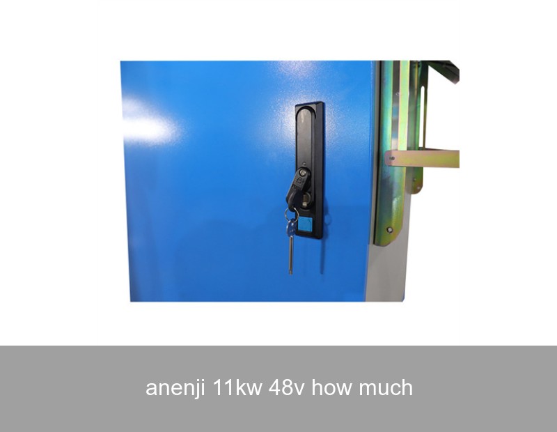 anenji 11kw 48v how much