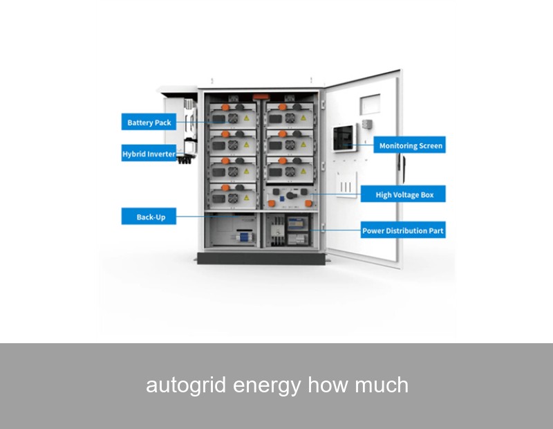 autogrid energy how much