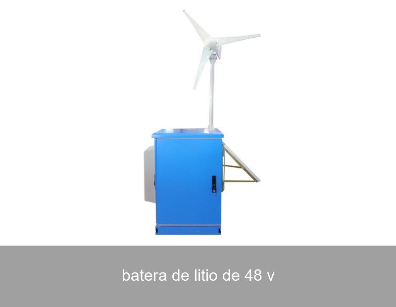 batera de litio de 48 v