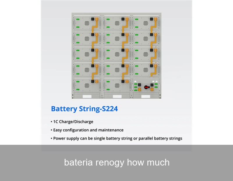 bateria renogy how much