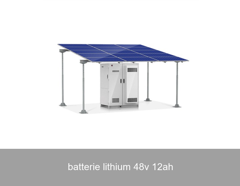 batterie lithium 48v 12ah