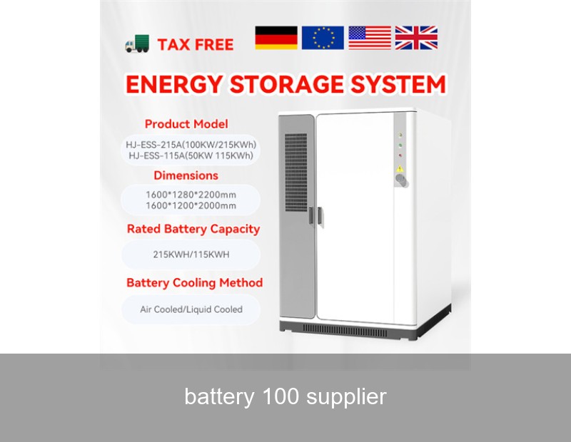 battery 100 supplier
