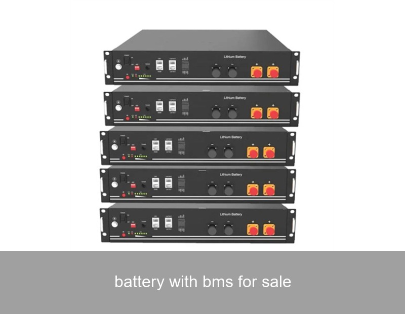 battery with bms for sale