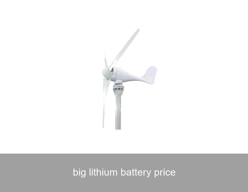 big lithium battery price