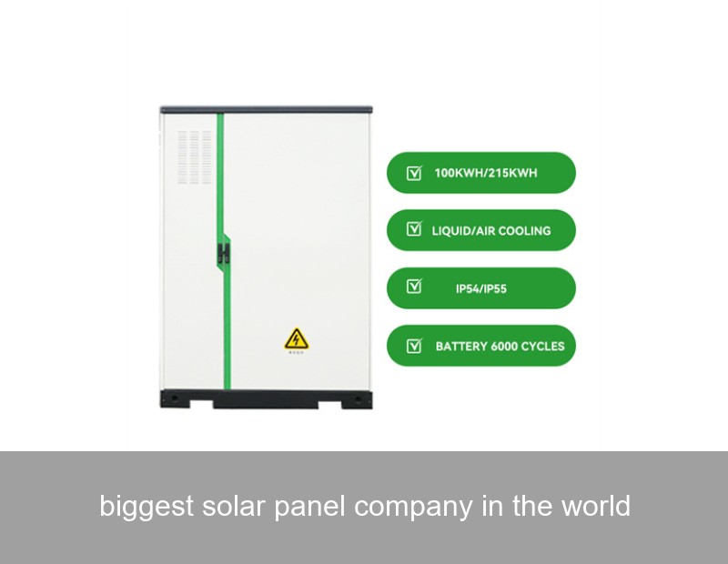biggest solar panel company in the world
