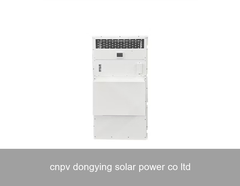 cnpv dongying solar power co ltd