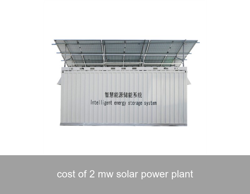 cost of 2 mw solar power plant