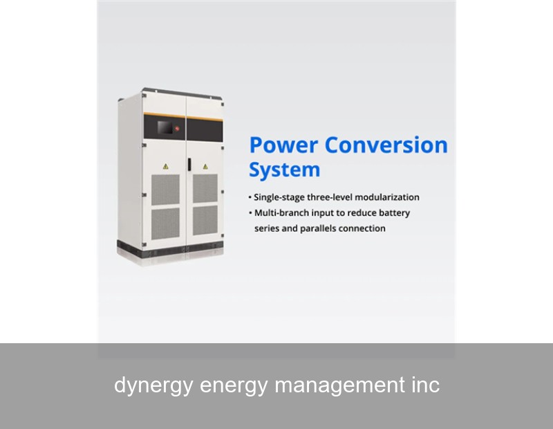 dynergy energy management inc