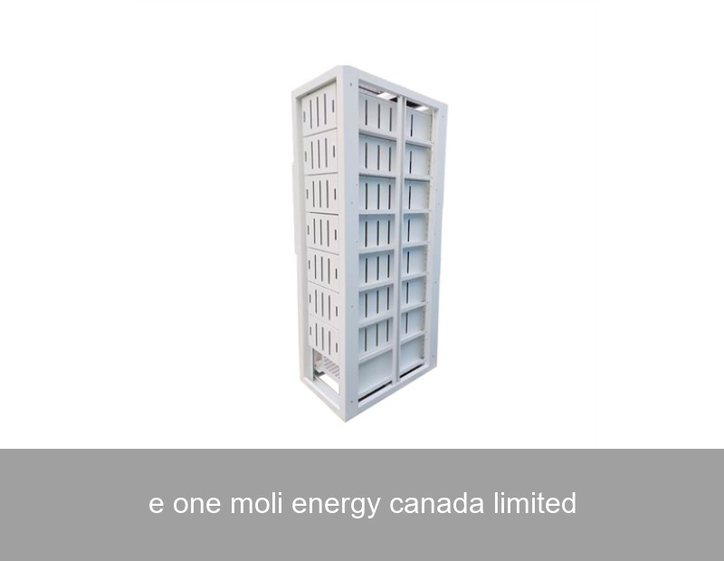 e one moli energy canada limited