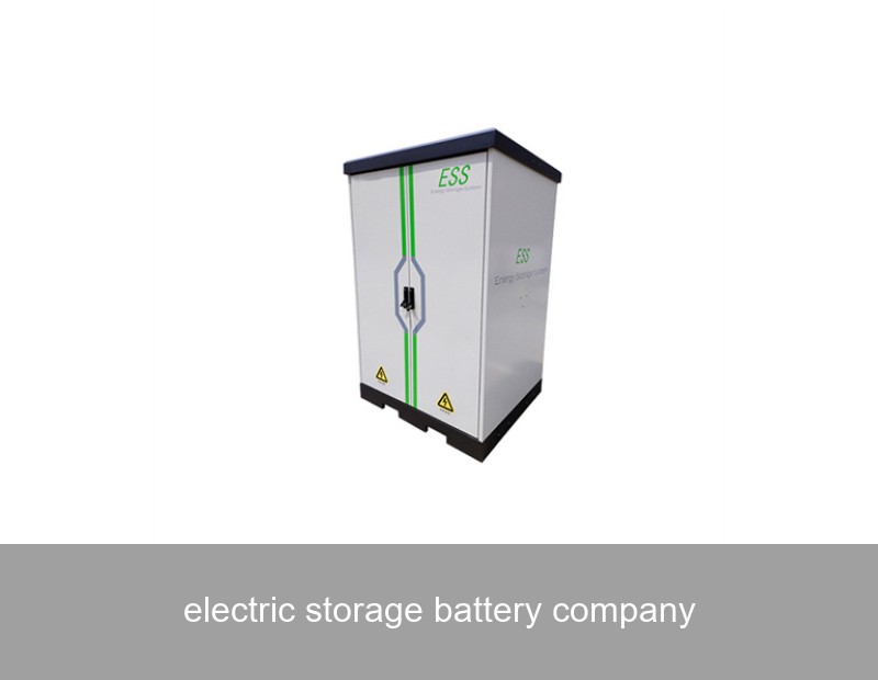 electric storage battery company