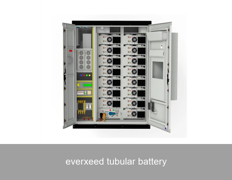 everxeed tubular battery