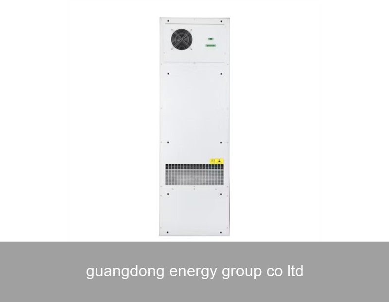 guangdong energy group co ltd