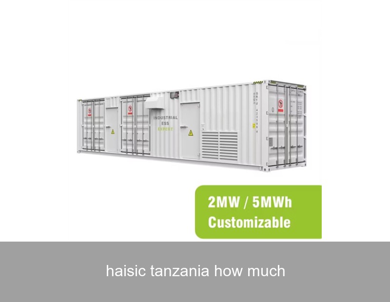 haisic tanzania how much