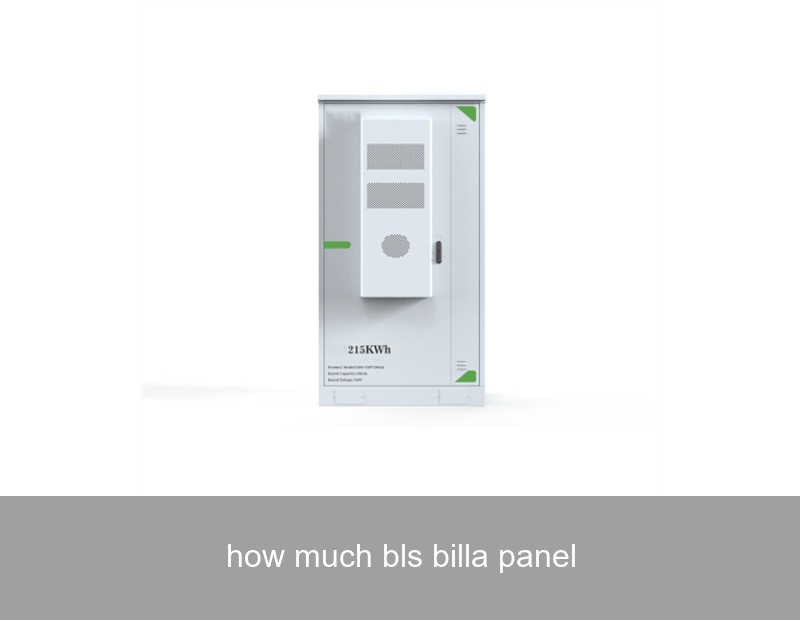 how much bls billa panel