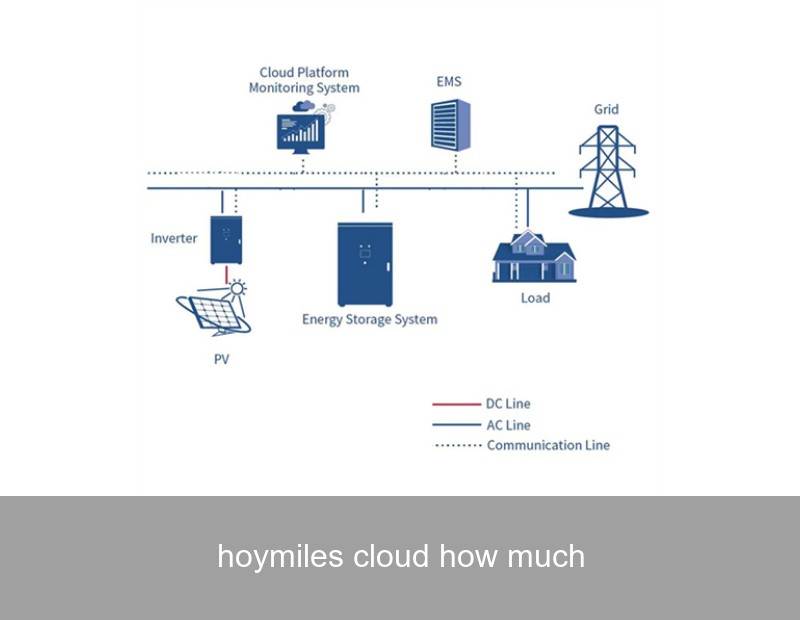 hoymiles cloud how much