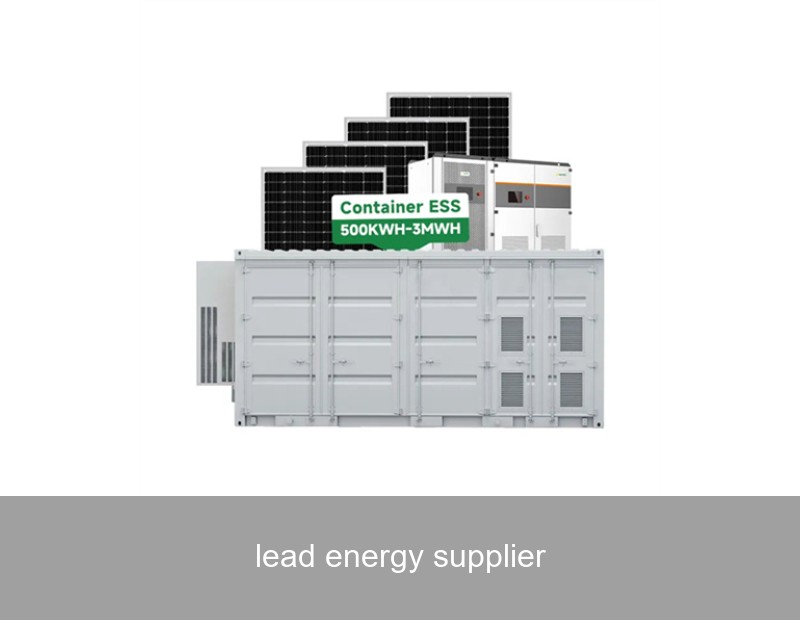 lead energy supplier