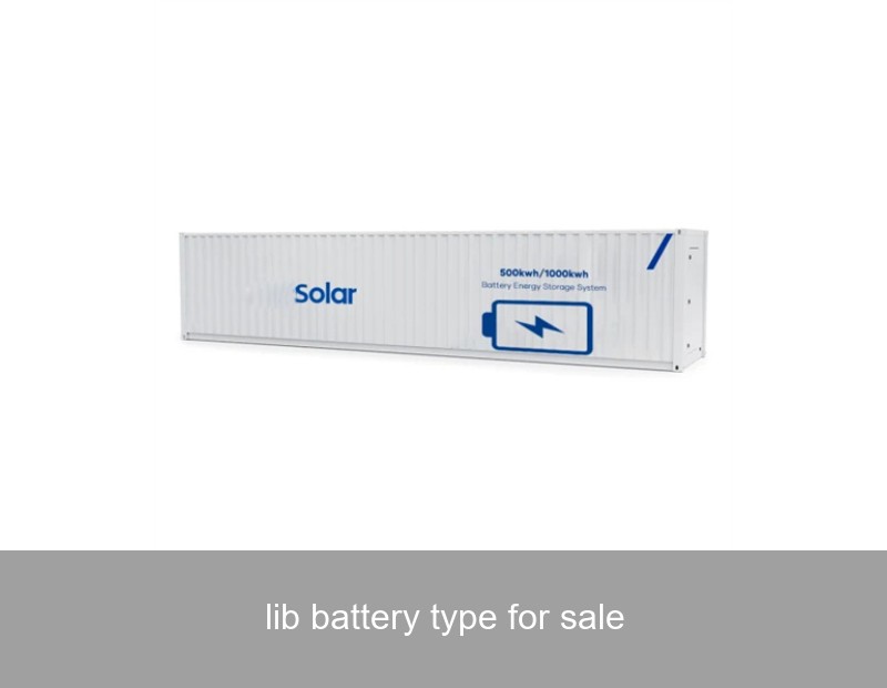 lib battery type for sale