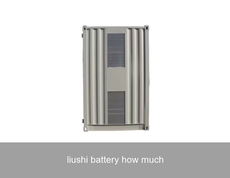 liushi battery how much