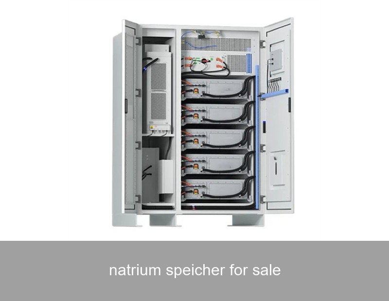 natrium speicher for sale