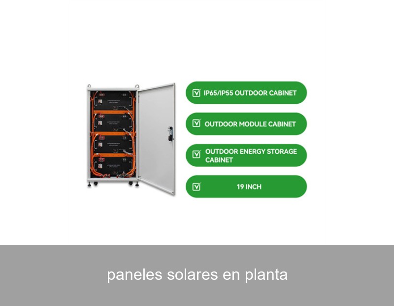 paneles solares en planta