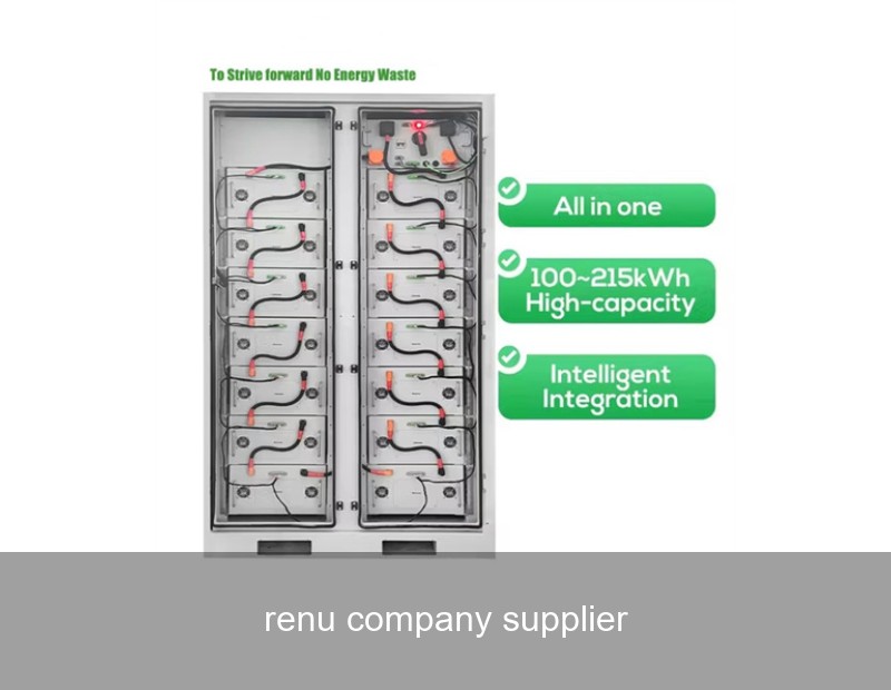 renu company supplier