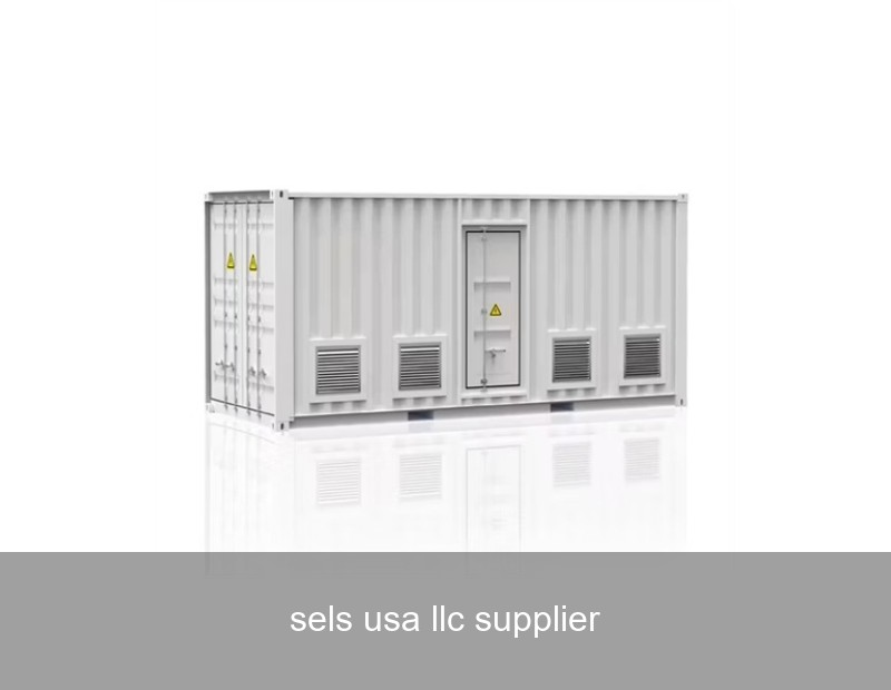 sels usa llc supplier