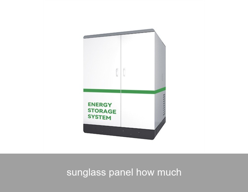 sunglass panel how much
