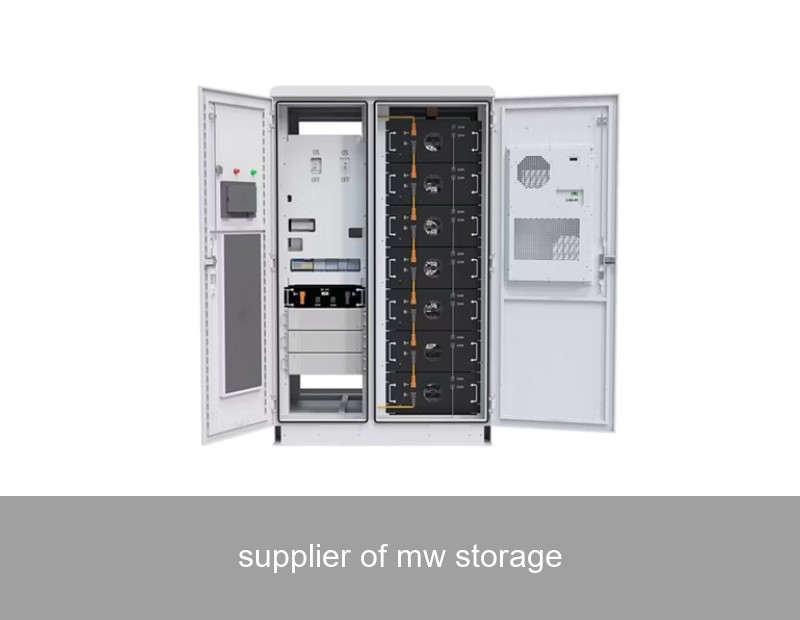 supplier of mw storage
