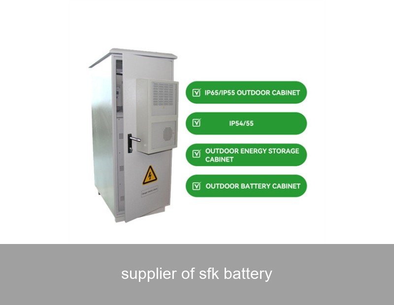 supplier of sfk battery