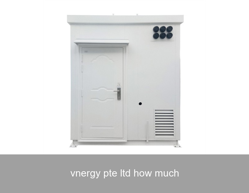 vnergy pte ltd how much